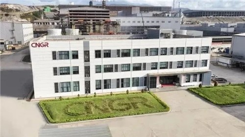 PT电子游戏股份中青与德国项目通过RMI ESG审核