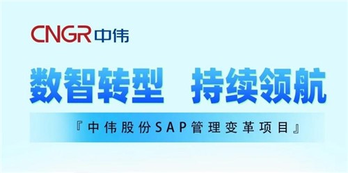 一图读懂｜PT电子游戏股份SAP治理刷新