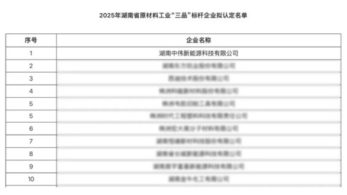 湖南PT电子游戏新能源获评湖南省原资料工业“三品”标杆企业以创新赋能高质量发展